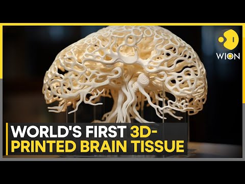 Technology Update: Scientists develop world’s first 3D-printed functional brain tissue | WION News [Video]