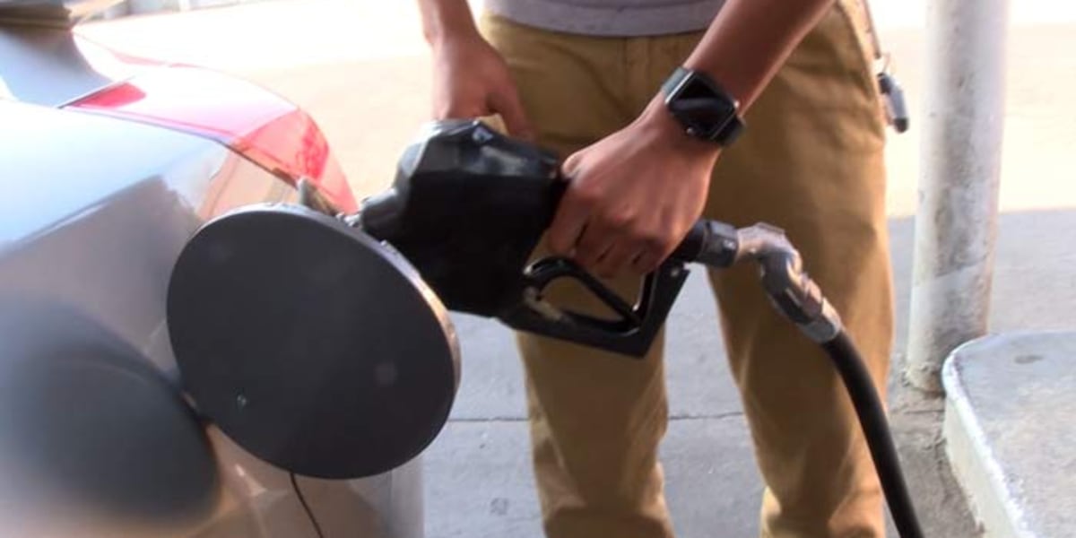 SC gas prices rise slightly over past week [Video]