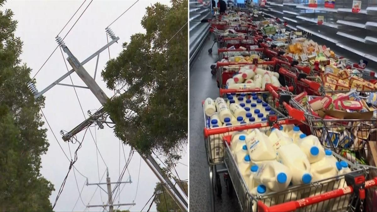 Thousands of homes and businesses could be without power for days after wild storms pummel Victoria [Video]