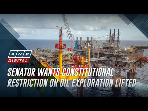 Senator wants constitutional restriction on oil exploration lifted | ANC [Video]