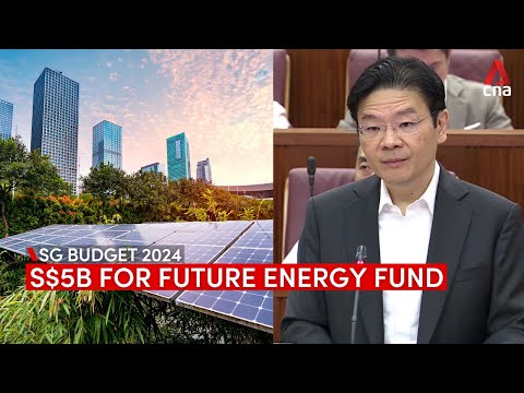 Budget 2024: Singapore announces new S$5b Future Energy Fund [Video]