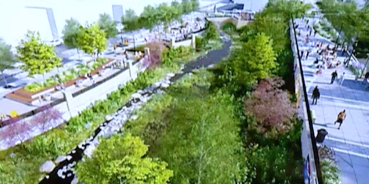 City leaders share update on Renew Jordan Creek project in Springfield, Mo. [Video]