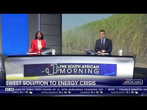Restore the power grid | Sweet solution to energy crisis [Video]