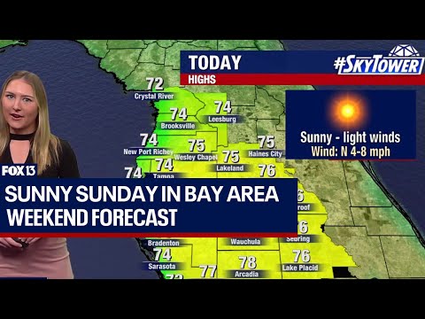 Tampa weather: Sunny, light winds in Bay Area [Video]