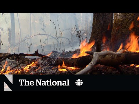 Alberta wildfire season starts early [Video]