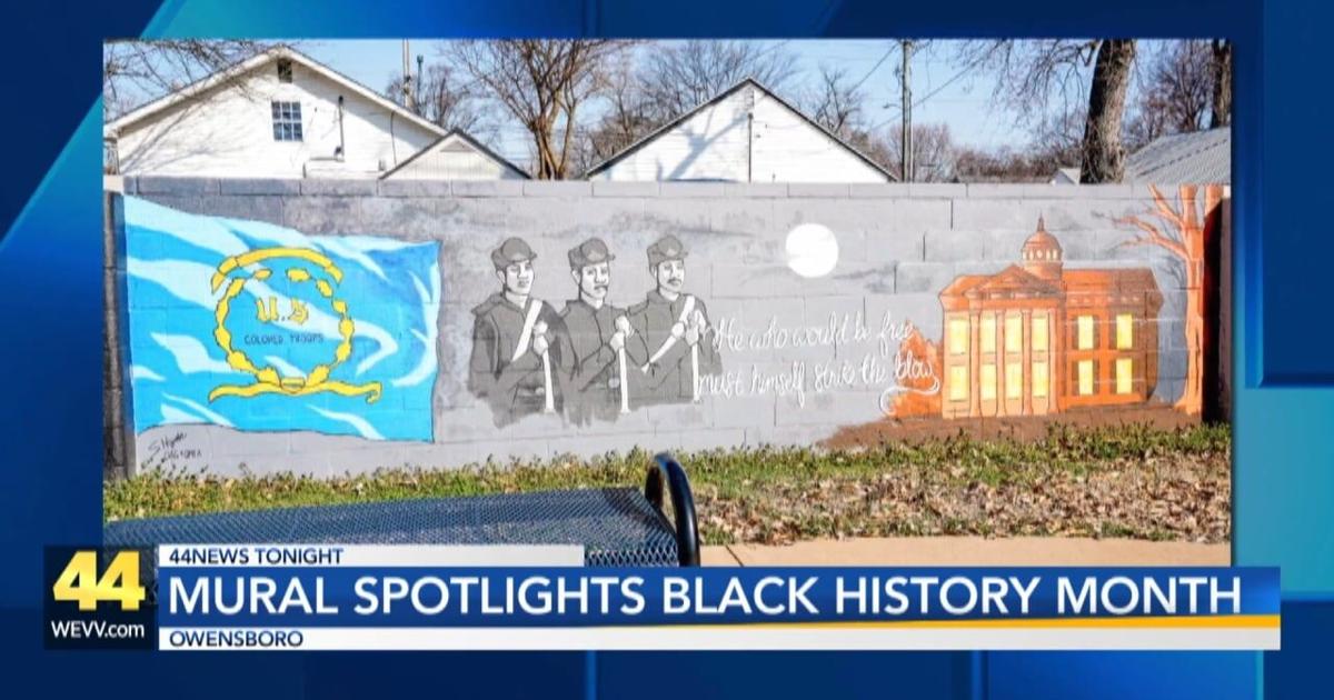 Owensboro Neighborhood Alliance shares update on mural project | Video