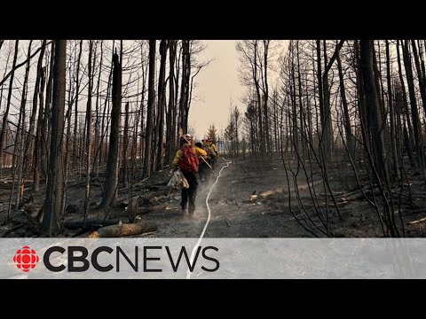 Alberta ramps up response crews as wildfire season gets early start [Video]