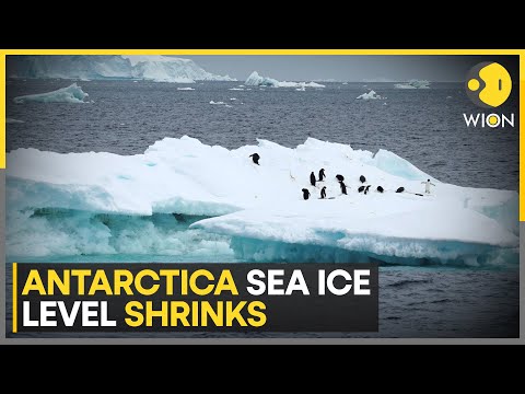 Antarctica sea ice shrinking at alarming pace, scientists call it ‘abrupt critical transition’ [Video]
