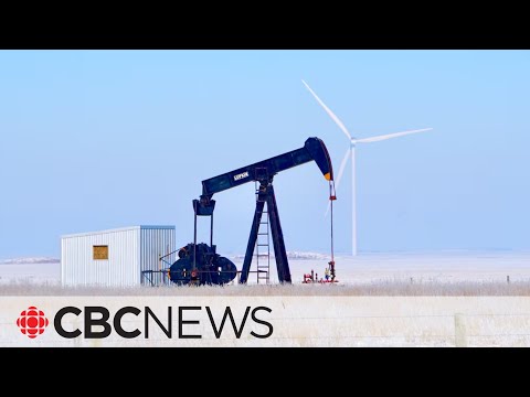 Alberta to lift ban on new renewable energy projects this week [Video]