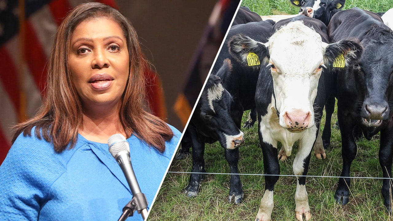 NY attorney general sues world’s largest beef producer over methane emissions, climate commitments [Video]