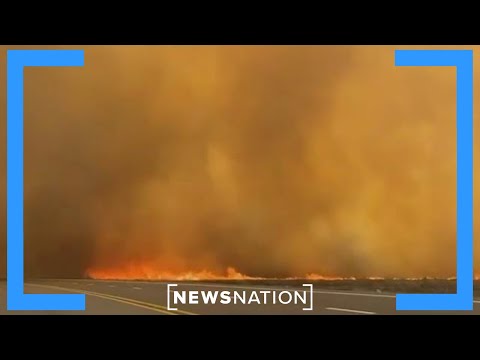 Texas battling largest wildfire in state history | NewsNation Now [Video]