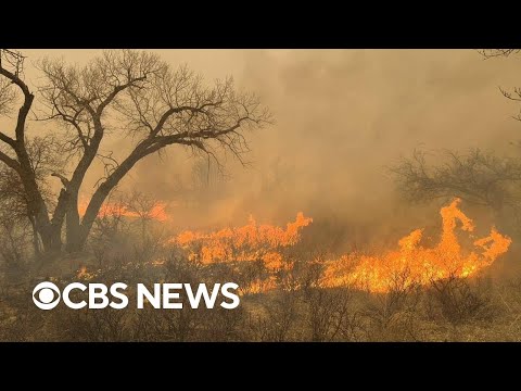 Texas Panhandle wildfire only 3% contained as it breaks records [Video]