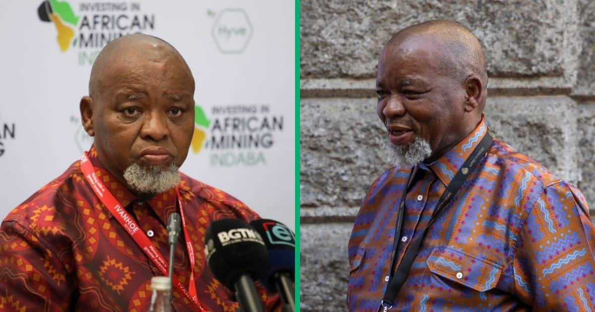 Gwede Mantashe Praises Himself As Most Productive Energy Minister, South Africans Laugh [Video]