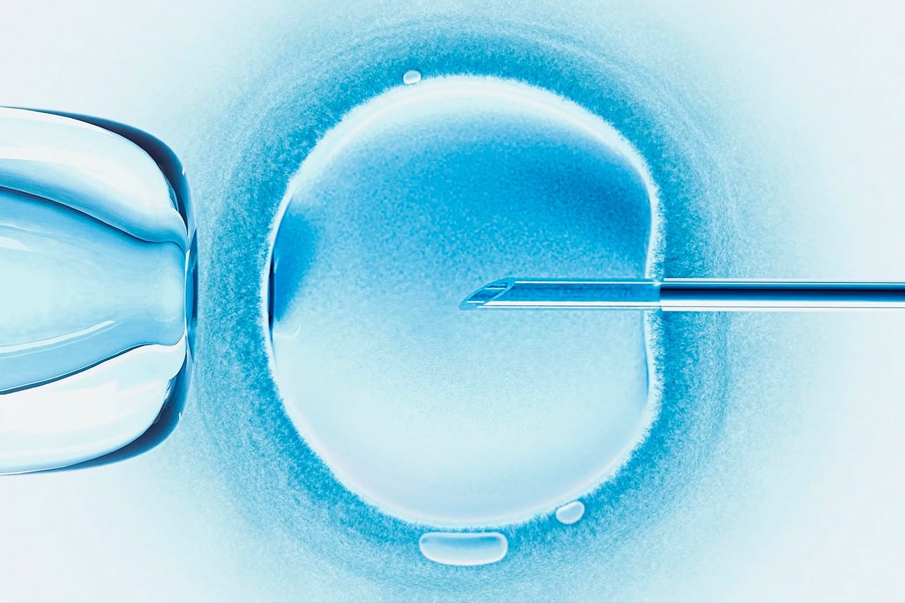 Alabama IVF ruling renews focus on chemical exposure and infertility [Video]