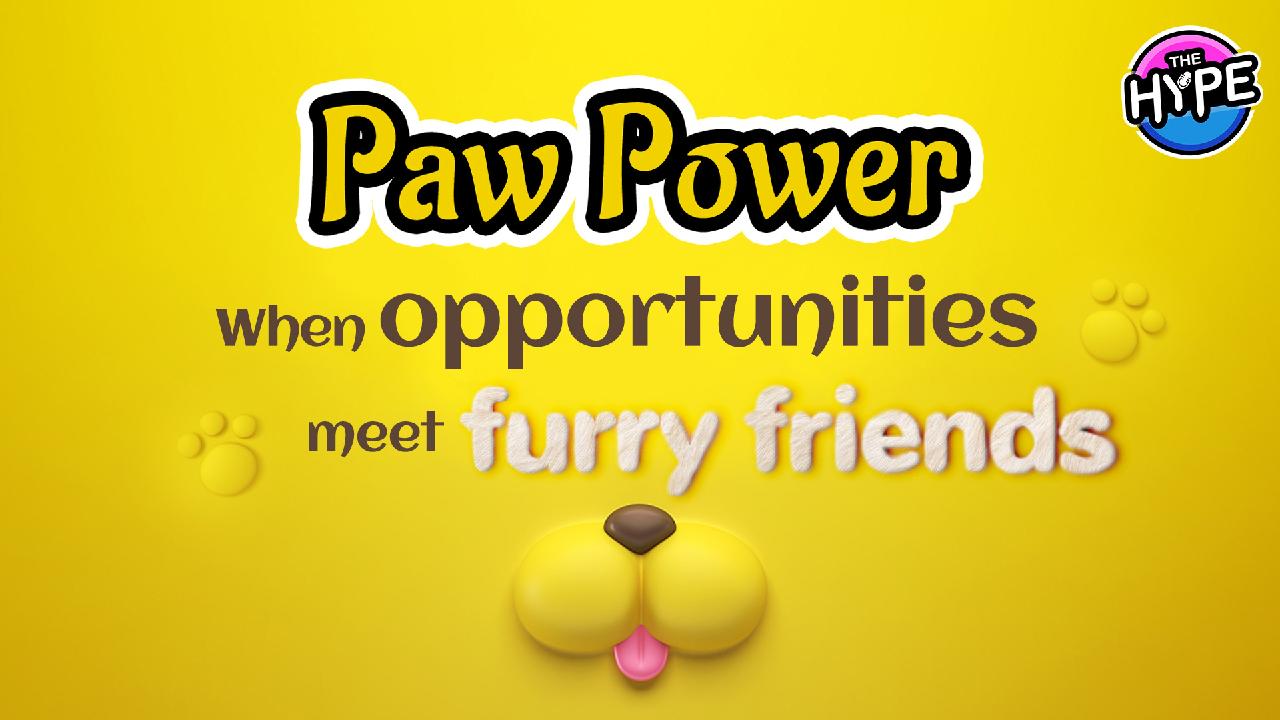 Live: THE HYPE  Paw Power: When opportunities meet furry friends [Video]