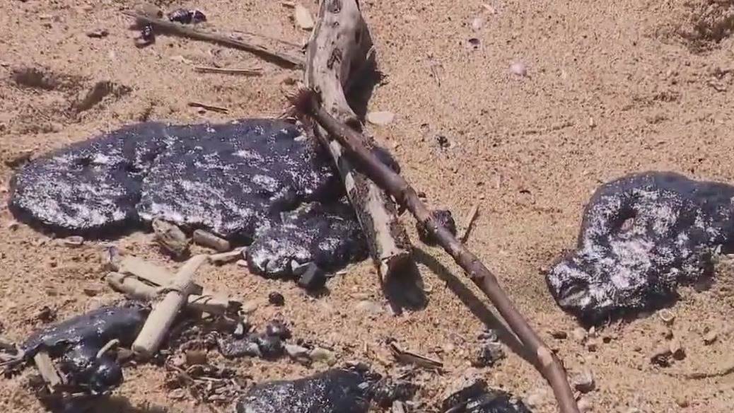 Tar blobs washed off OC shore [Video]