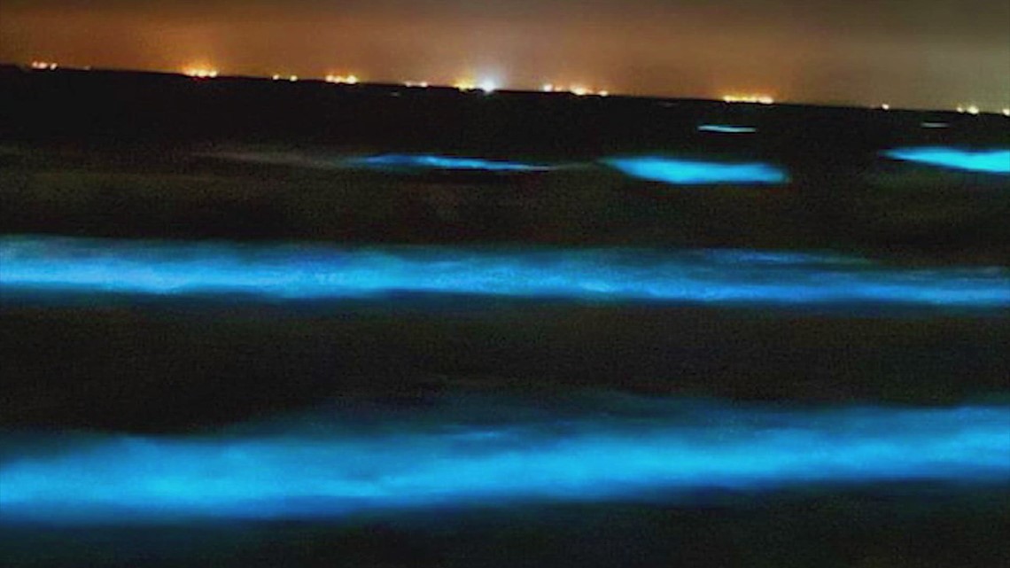 Why was there a blue glow in Crystal Beach, Texas water [Video]