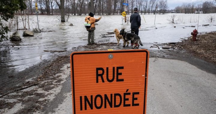 Rising water: Quebec lender ending new mortgages in flood zones just the beginning – Montreal [Video]