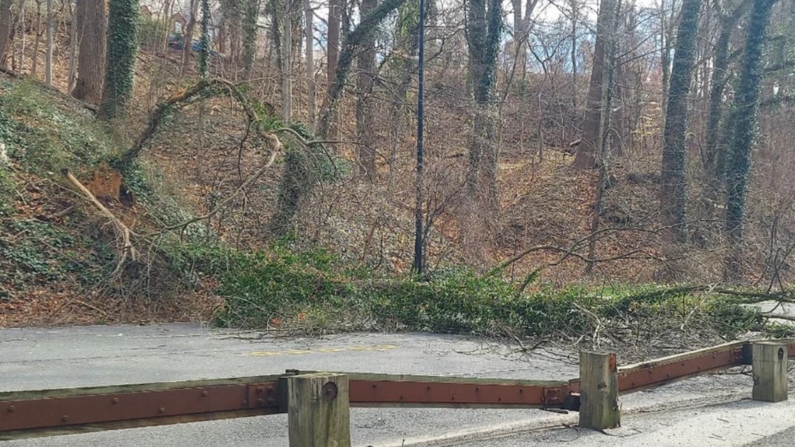 Downed trees, power outages across DMV due to strong winds [Video]