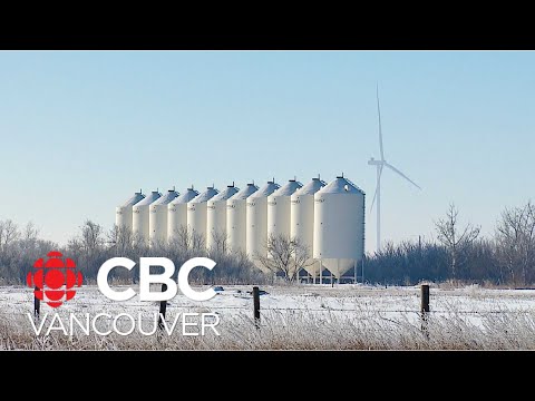 What are some alternative energy sources in B.C.? [Video]