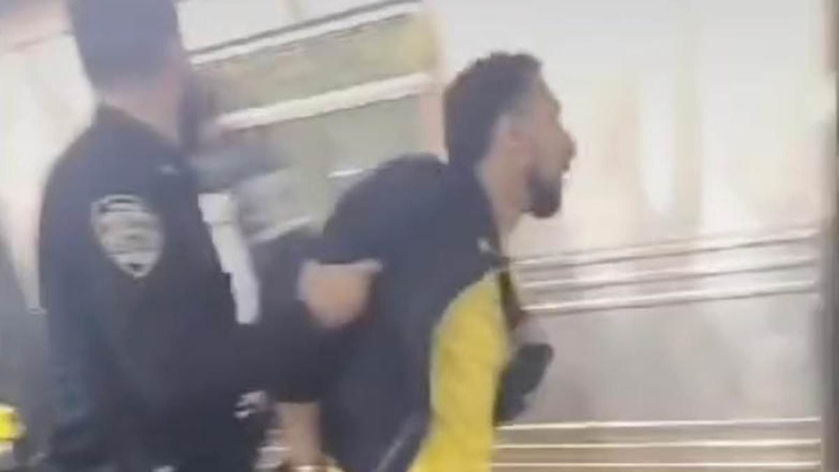 Harrowing video of NYC subway shooting shows aggressor erupting in HEATED argument with ‘migrant’ passenger he accuses of ‘beating up cops’, before he’s stabbed and shot in the head with his own gun