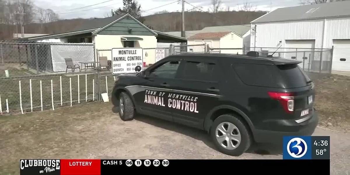 Petition to get a new animal shelter in Montville is gaining signatures [Video]