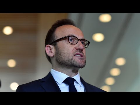Adam Bandt’s ‘hypocritical’ expenses dissected by Sophie Elsworth [Video]