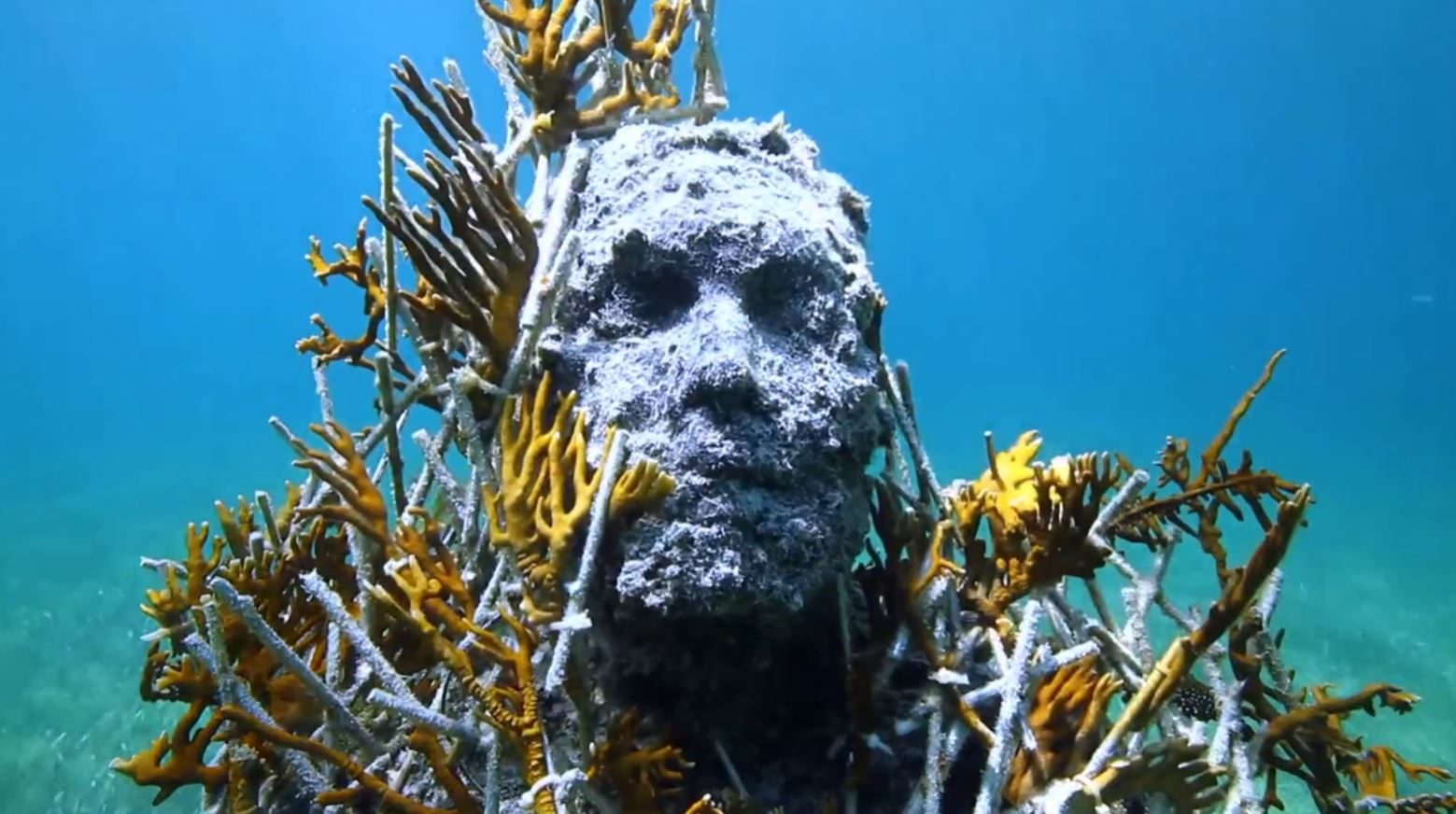 Underwater sculptures highlight threat of sewage pollution  Channel 4 News [Video]
