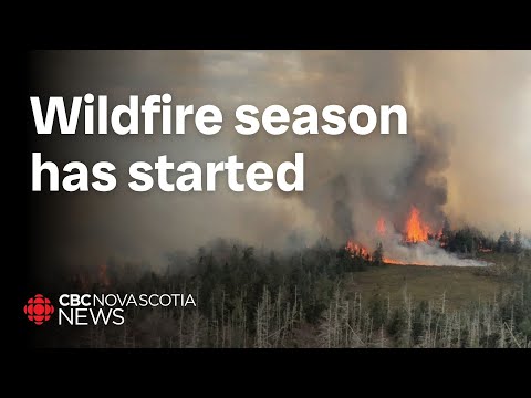 Wildfire season has started. Here’s what you need to know [Video]