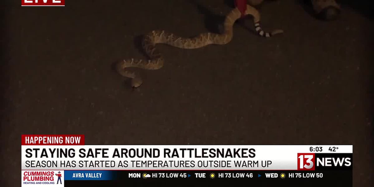 March is the beginning of rattlesnake season here in Southern Arizona; tips on how to stay safe [Video]