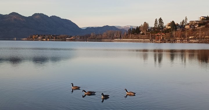 Balmy winter Sunday in B.C. topples 38 temperature records [Video]