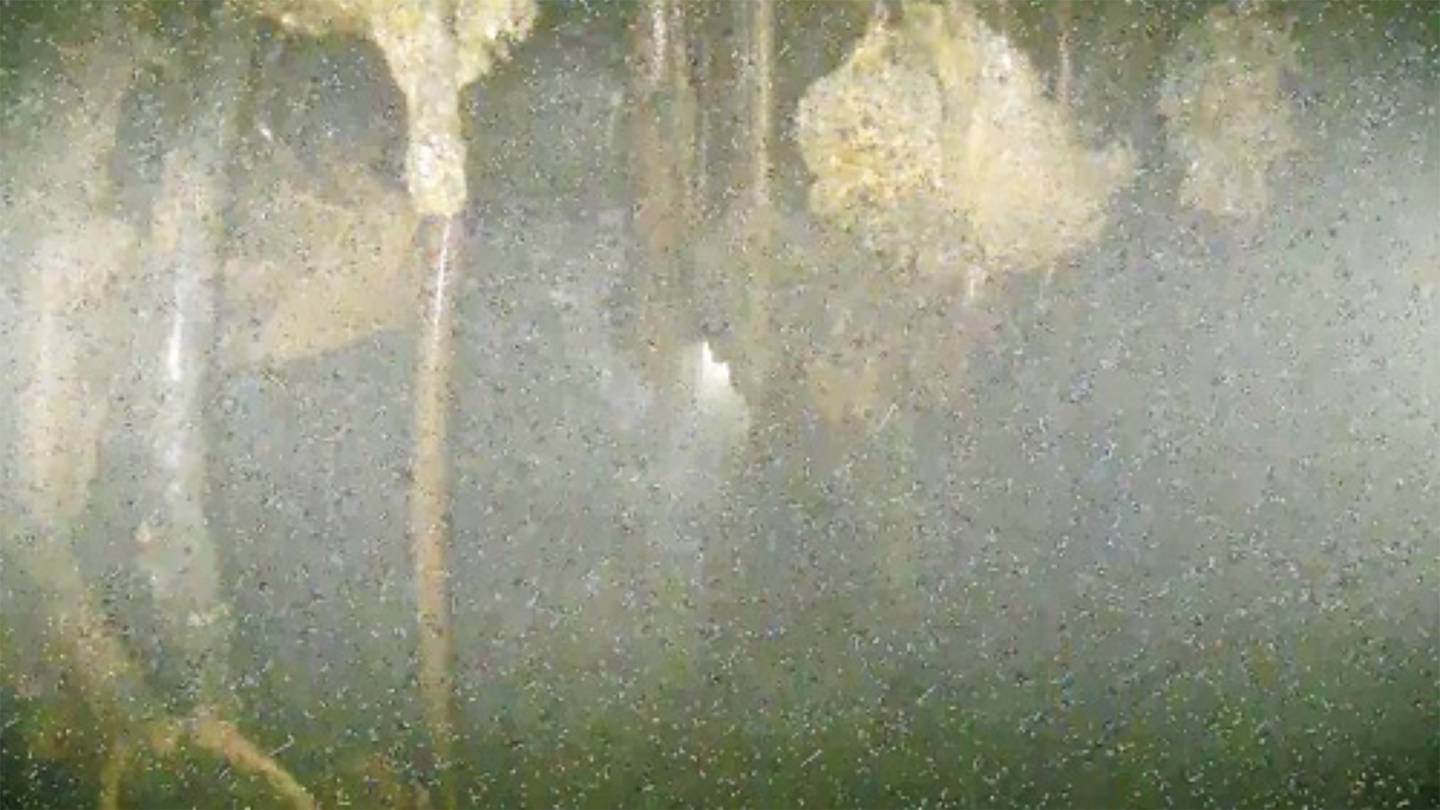 Images taken deep inside melted Fukushima reactor show damage, but leave many questions unanswered  WSOC TV [Video]