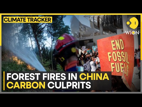Forest fire in China’s Sichuan | Fossil fuel subsidies amplify climate crisis | WION Climate Tracker [Video]
