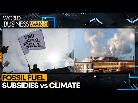 Fossil fuel subsidies amplify climate crisis | World Business Watch | WION [Video]
