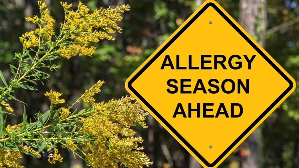 Study shows longer allergy season [Video]