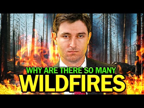 Why Wildfires Are On The Rise [Video]