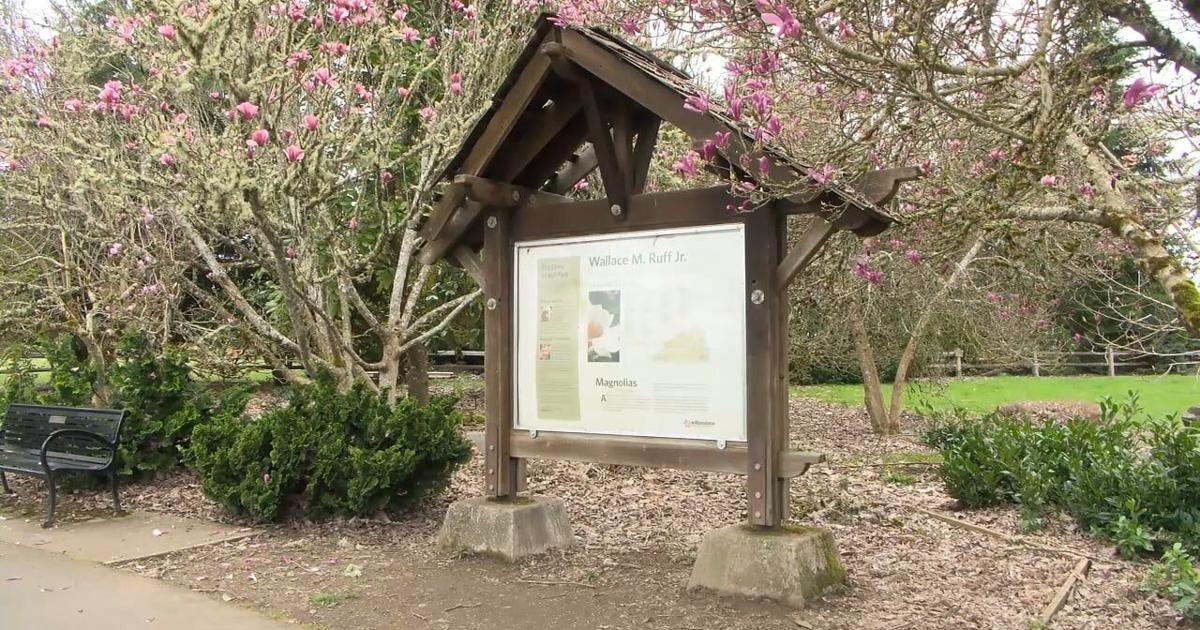 Volunteers needed for Ruff Memorial Park cleanup | Video