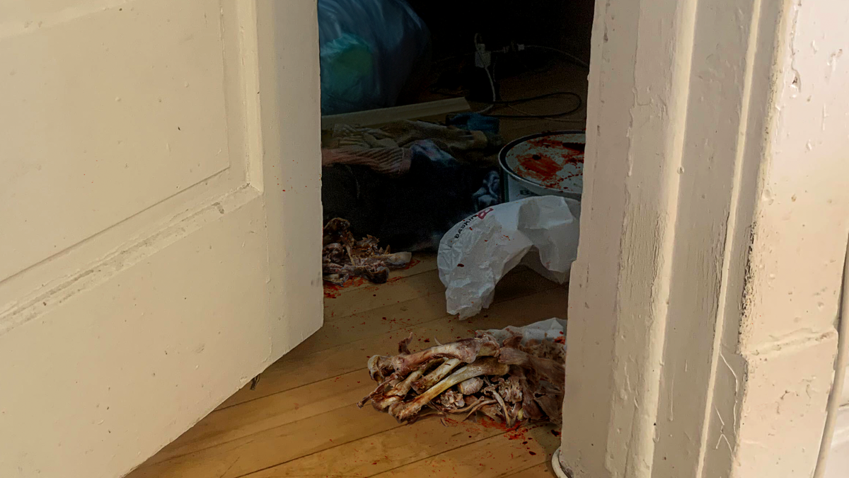 Deep Bellow Of Im Hungry! Rolls Out Of Teenage Sons Animal-Bone-Filled Den [Video]