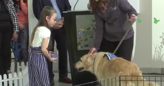 8-year-old inspires Nationwide Childrens to expand their therapy dog facility [Video]