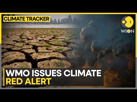 UNDP’s future weather forecast hopes to drive climate action | WION Climate Tracker [Video]