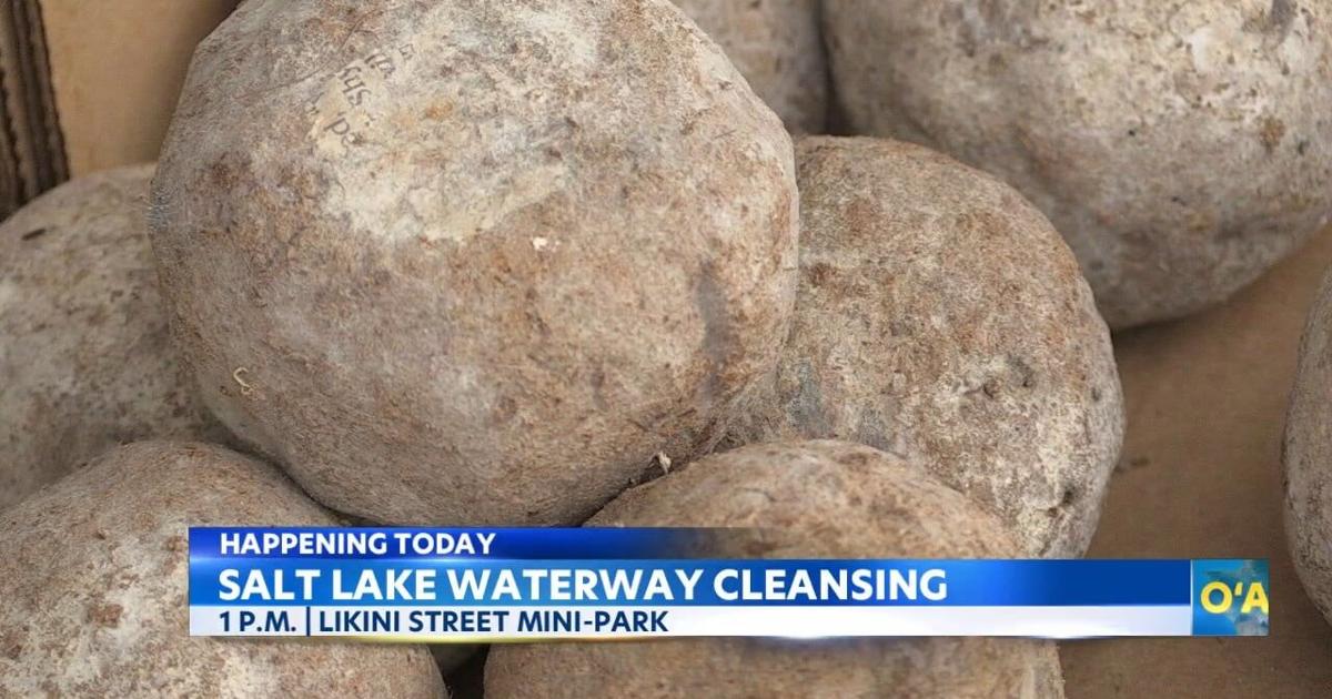 1,000 Genki balls to clean up Oahu’s Salt Lake waterway for Climate Week | News [Video]