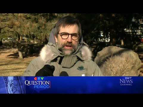‘We can’t put a pause on climate change’: Minister Guilbeault | CTV Question Period [Video]