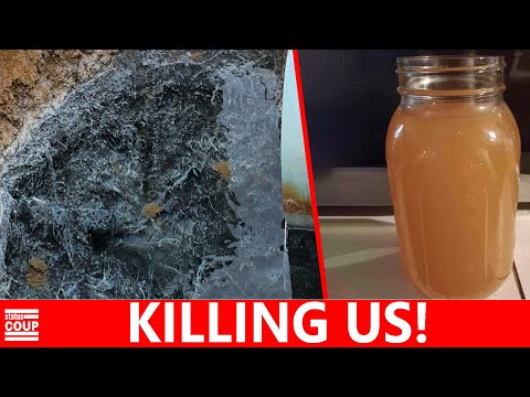 “They’re KILLING US for Money!” EXPOSING Poisoned Water in Coal Country West Virginia [Video]