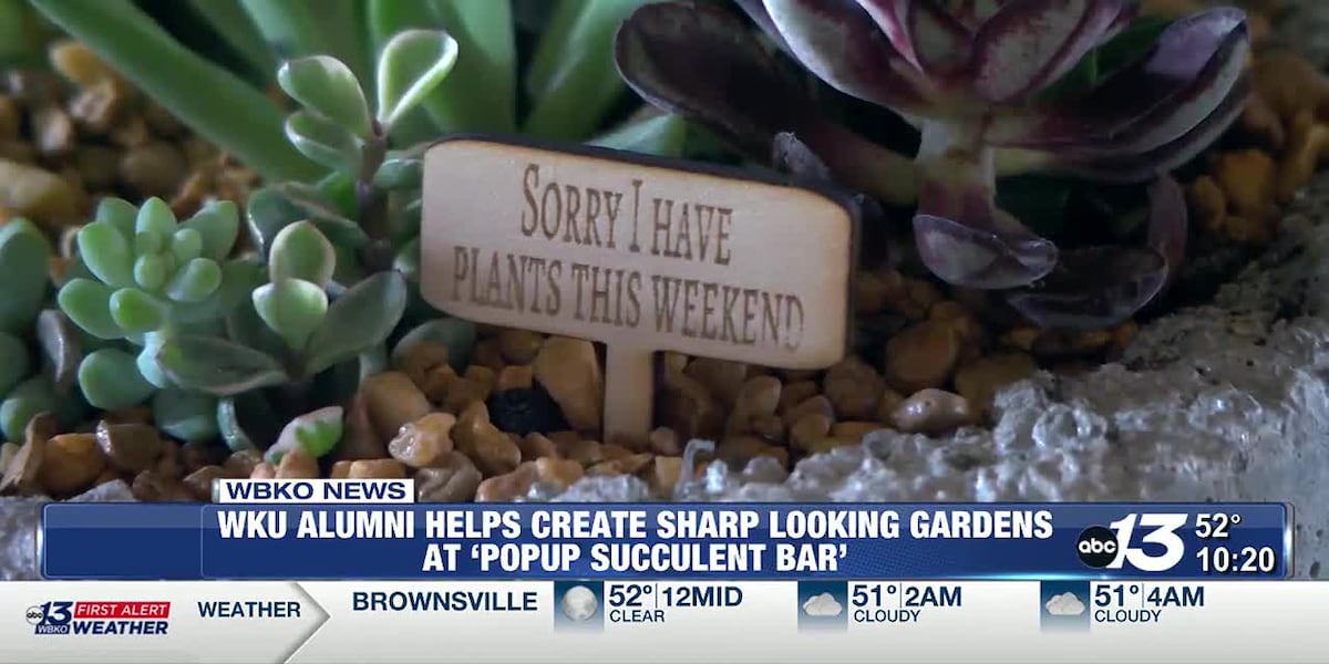 WKU Alumna helps create sharp looking gardens at pop-up succulent bar [Video]