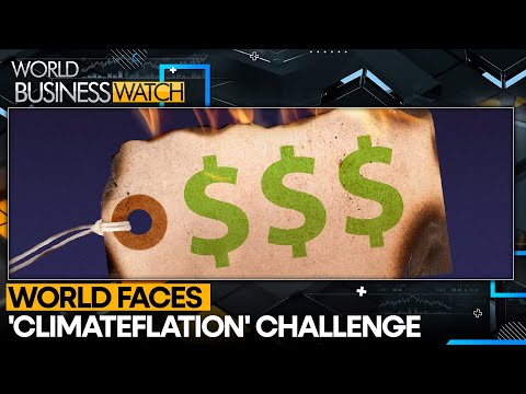 Study: Climate change-led temperature rise to boost inflation | World Business Watch [Video]