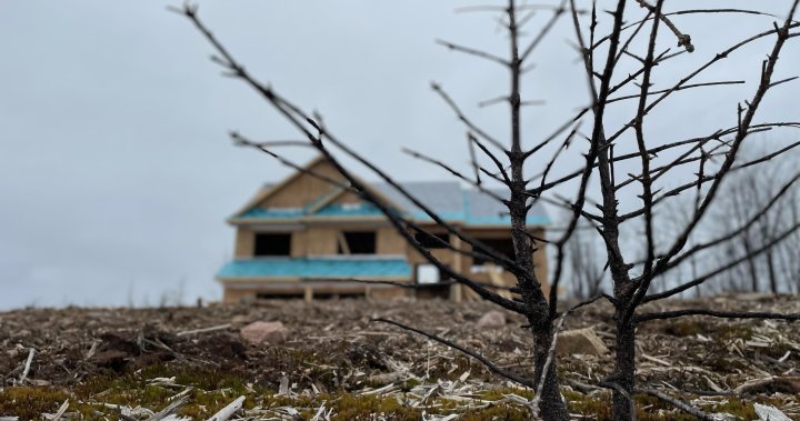 Nova Scotia wildfire victims return home to thousands more in property tax – Halifax [Video]