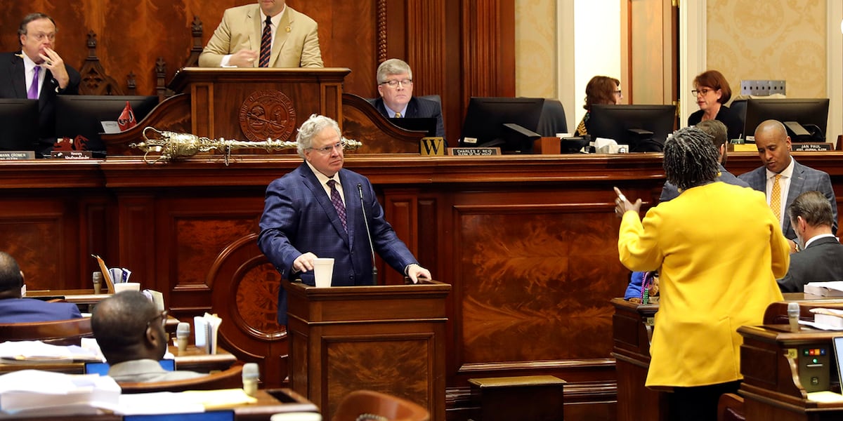 SC House OKs bill they say will keep the lights on. Others worry oversight will be lost [Video]