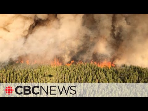 Green Party calls for provincewide forest fire plan ahead of wildfire season [Video]