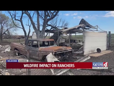 Wildfire impact on ranchers [Video]