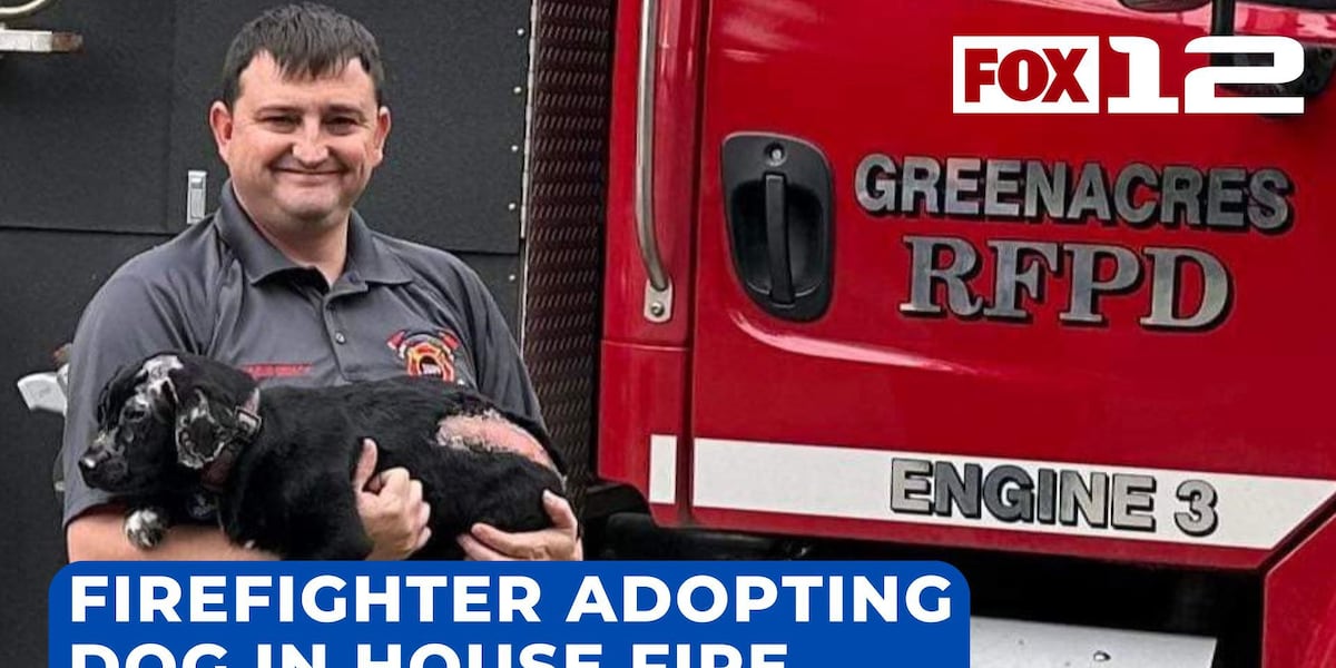 Dog burned in house fire in Curry County finds forever home with firefighter [Video]